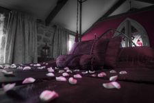 The Dovecote Rose petals