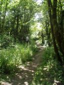 Lamorna footpath